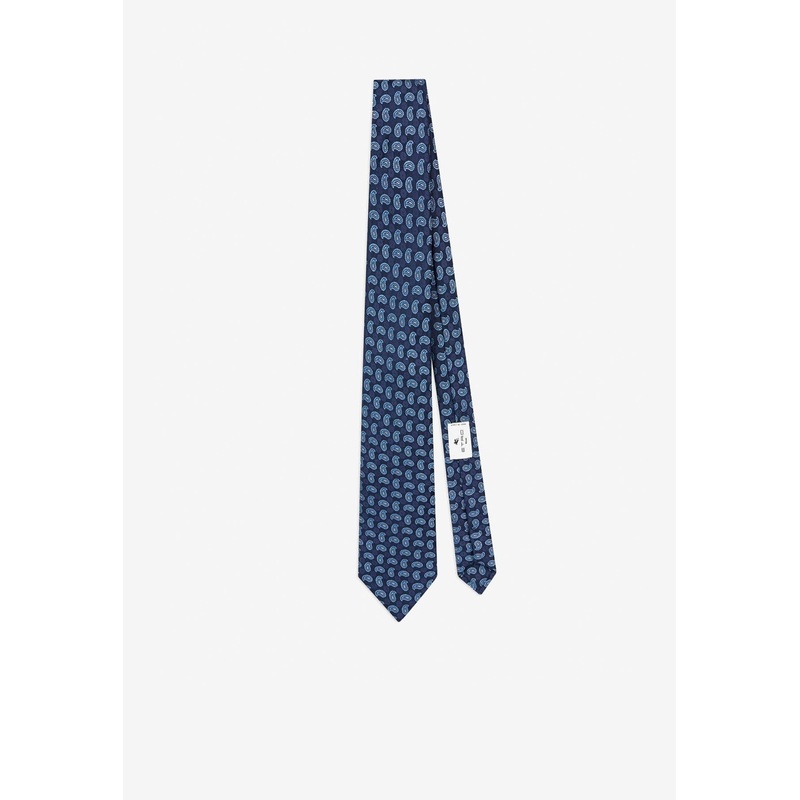 Micro Paisley Silk Tie