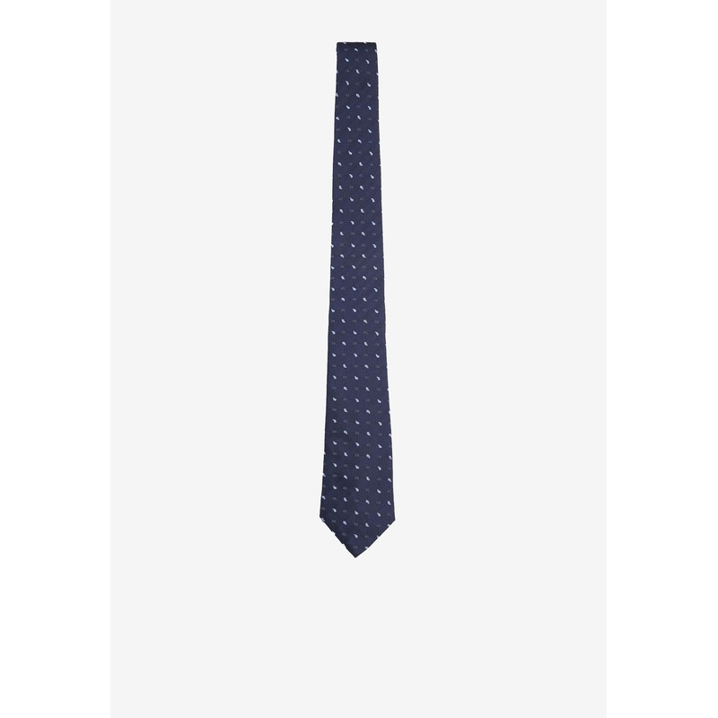 Paisley Pattern Silk Tie