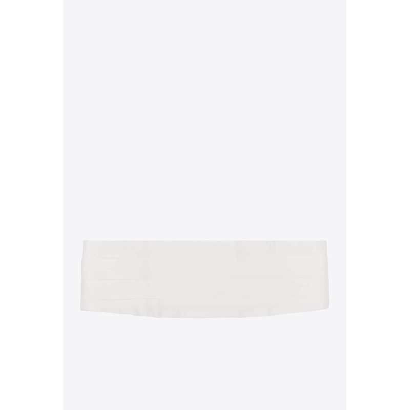 Pleated Satin Buckled Belt