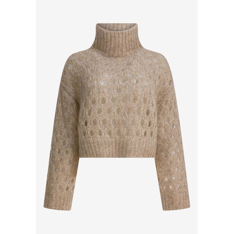 Dazzling Net Turtleneck Cropped Sweater