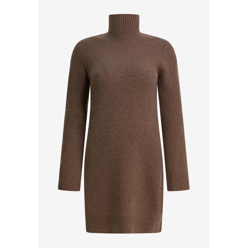 Edison Turtleneck Mini Dress