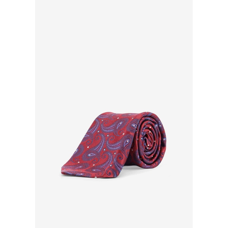 Paisley Print Silk Tie