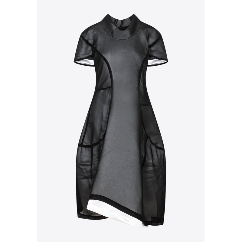 Paneled Midi Dress
