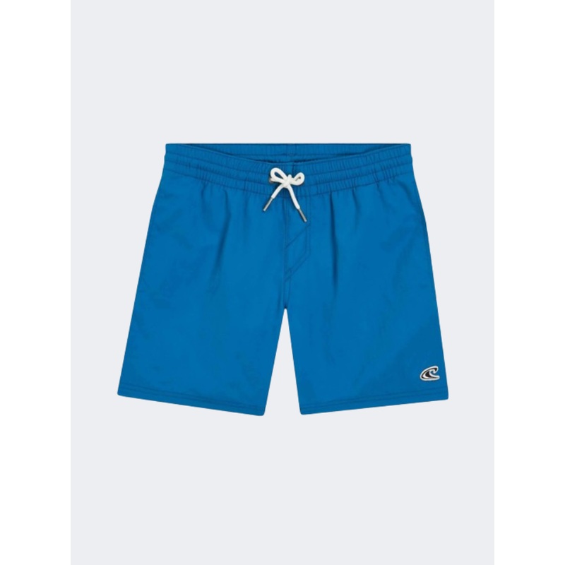 ONeill Vert 14 Inch Boys Beach Swim Short Mary Poppins