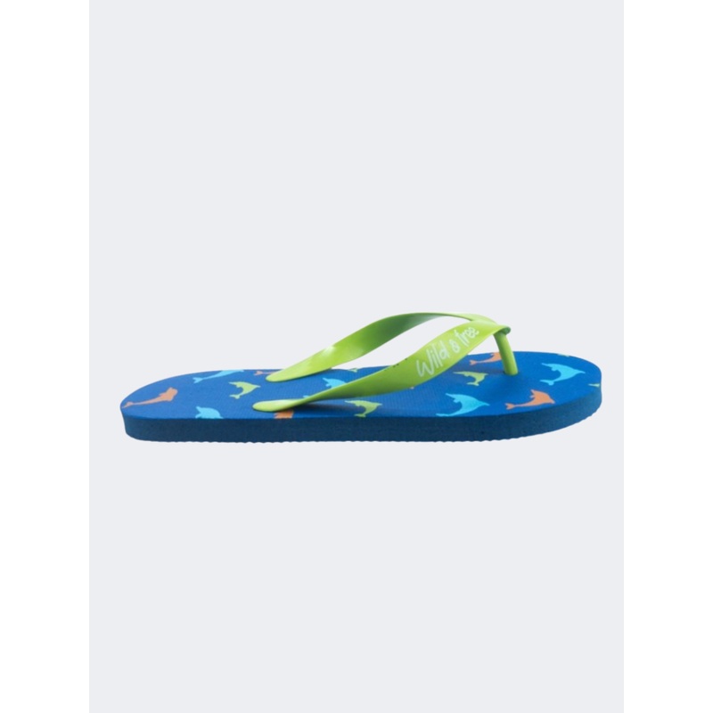Stamion Dolphins Pe Boys Beach Slippers Blue