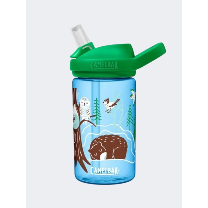 Camelbak Eddy Plus 14 Oz Hibernating Kids Lifestyle Water Bottle Multicolor