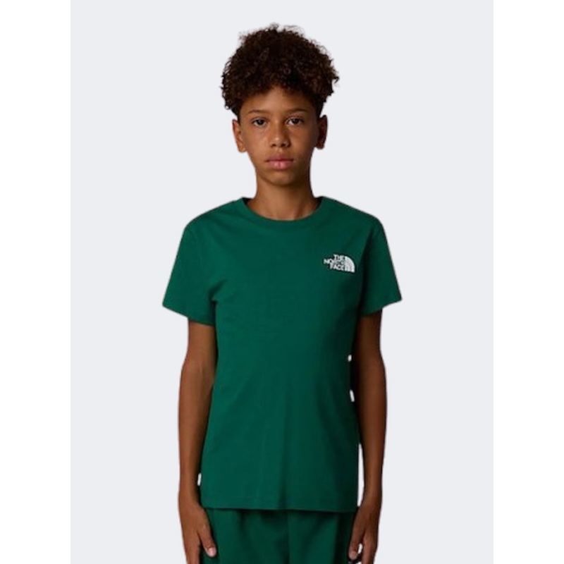 The North Face Redbox Nse Boys Lifestyle T-Shirt Green