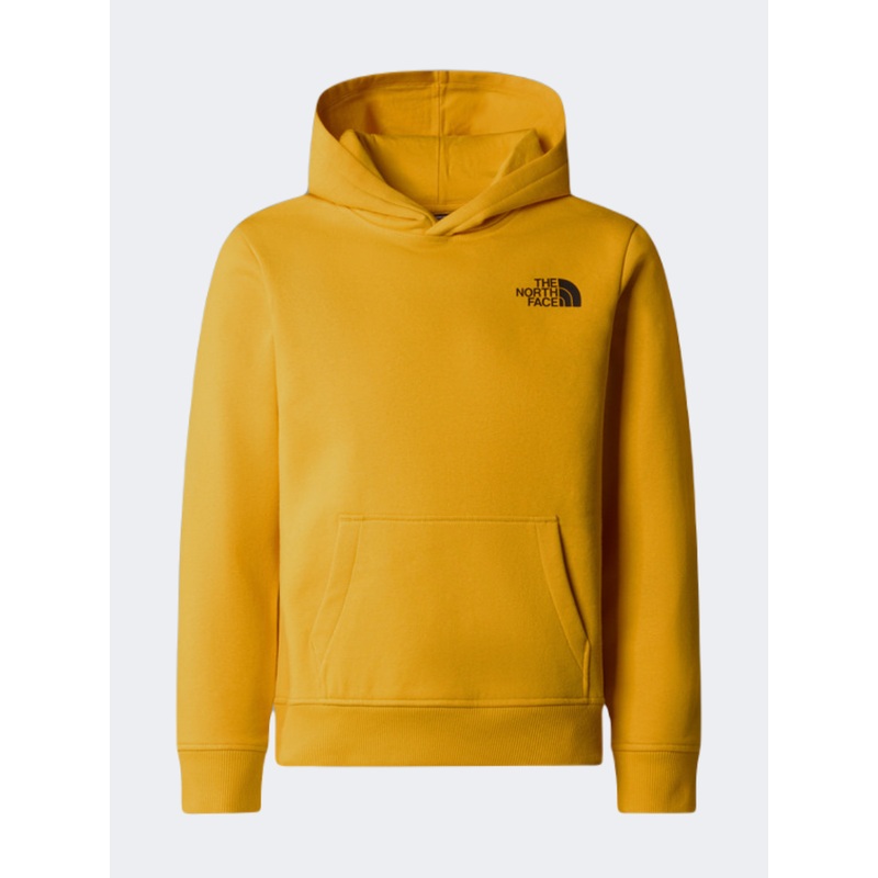 The North Face Redbox Nse Kids Lifestyle Hoody Gold