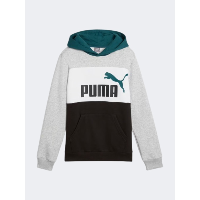 Puma Essential Block Boys Lifestyle Hoody Light Grey Heather