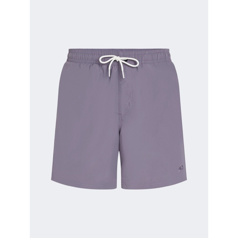 Oneill Vert Men Beach Swim Short Purple