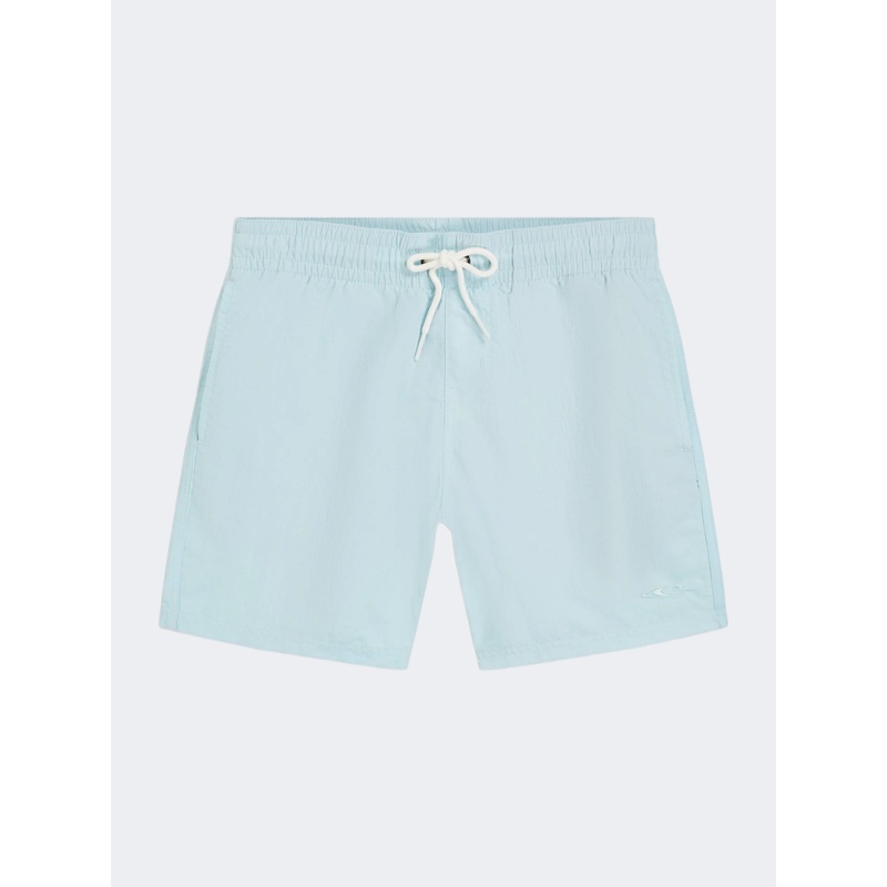 Oneill Vert Boys Beach Swim Short Blue