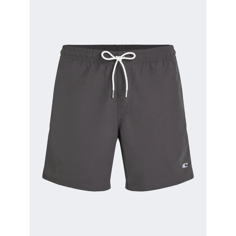 Oneill Vert  Men Beach Swim Short Grey