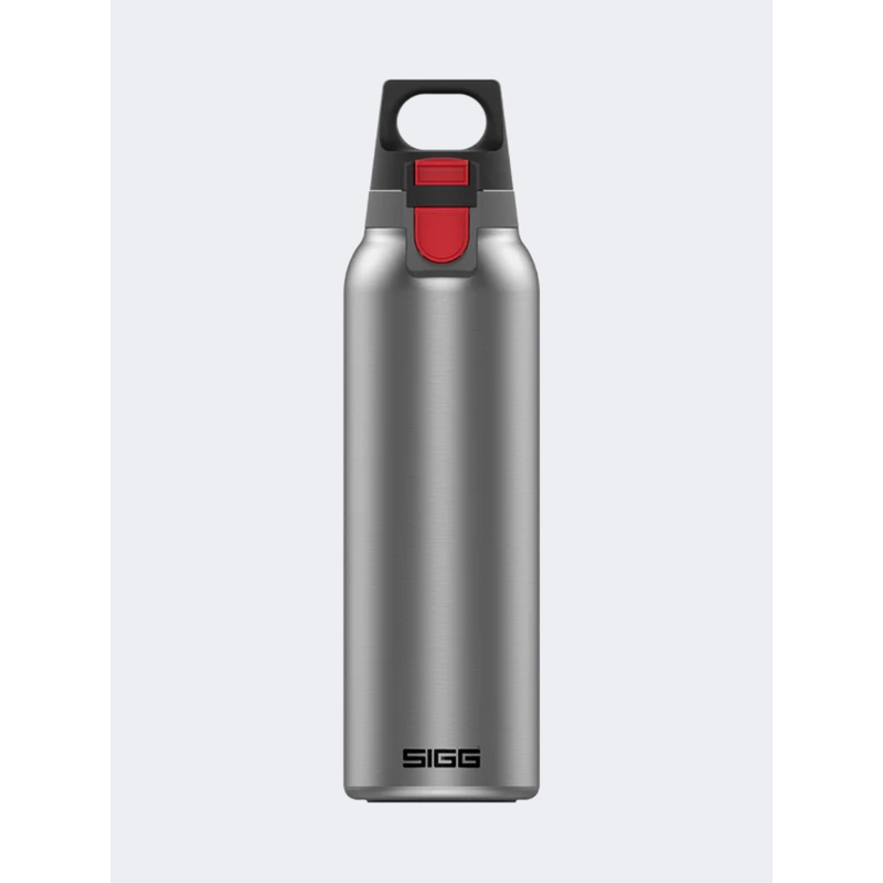 Sigg Thermo Flask Hot And Cold One 0.55 L Lifestyle Bottle Light Brushed