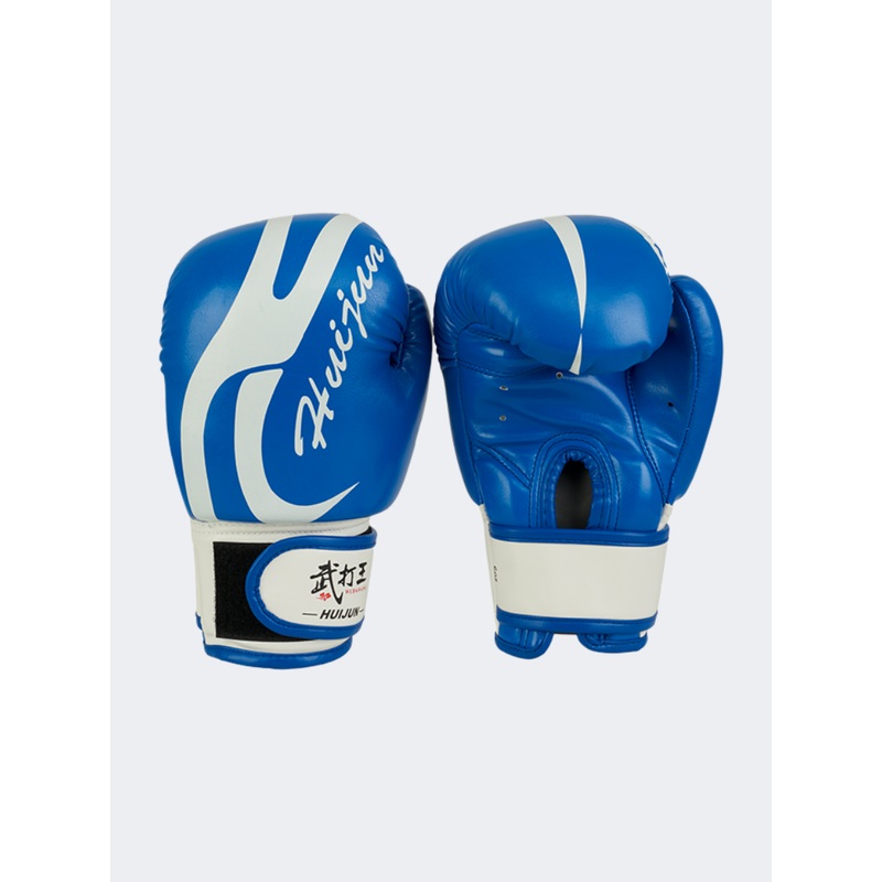 Aln Accessories Boxing Gloves Blue/White