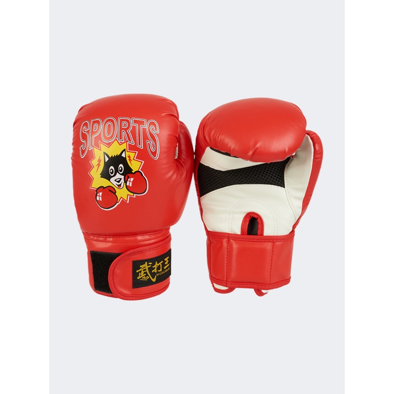 Aln Accessories Sports Boxing Gloves Red/Blue