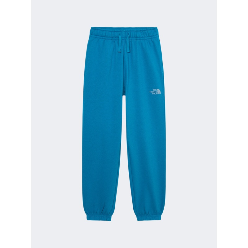 The North Face Reflective Logo Jogger Boys Lifestyle Pant Dusk Blue