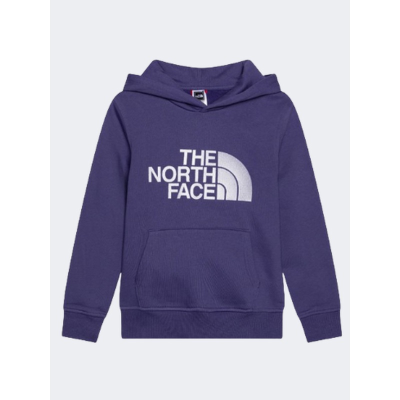 The North Face Drew Peak Boys Lifestyle Hoody Cave Blue