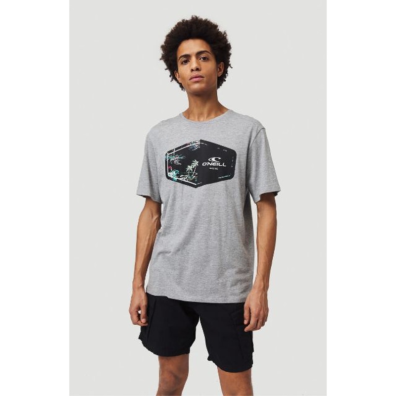 O'Neill Marco Men Beach T-Shirt Silver