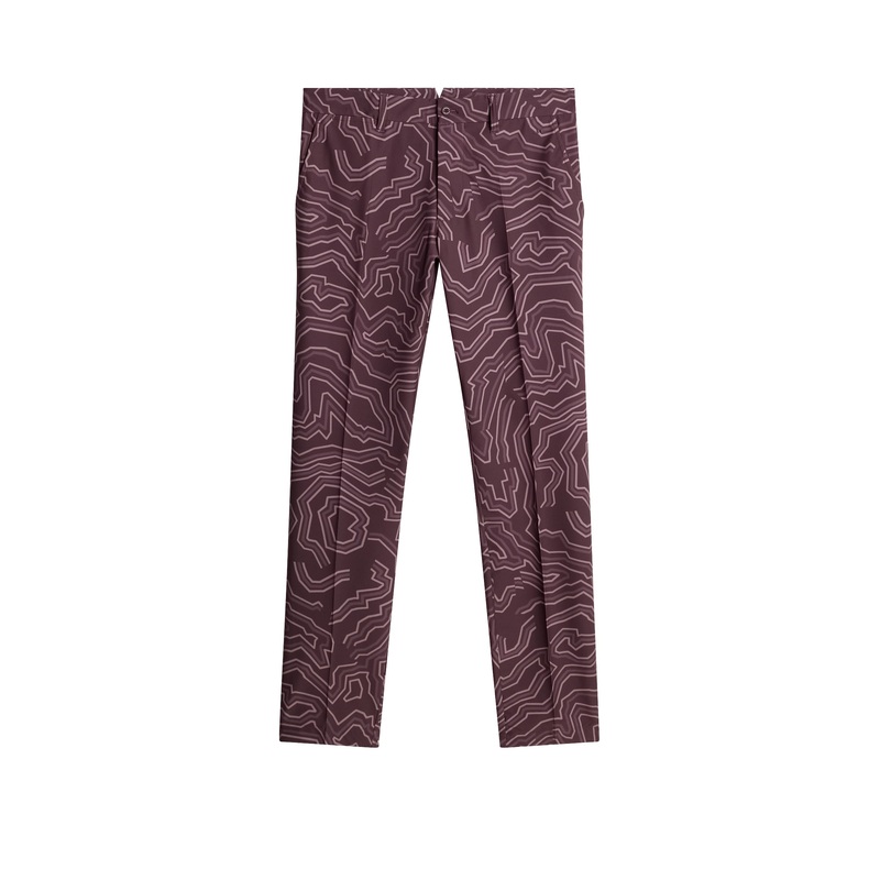 Ellott Print Pant / Topo Huckleberry L