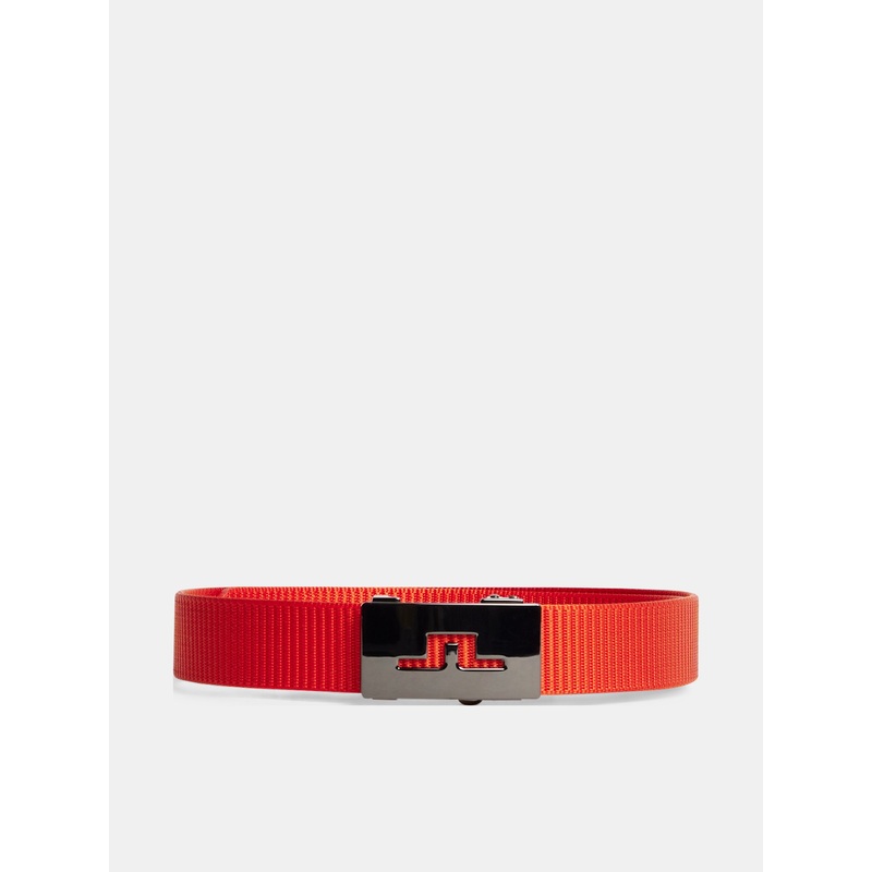 Roy Webbing Belt / Tangerine Tango
